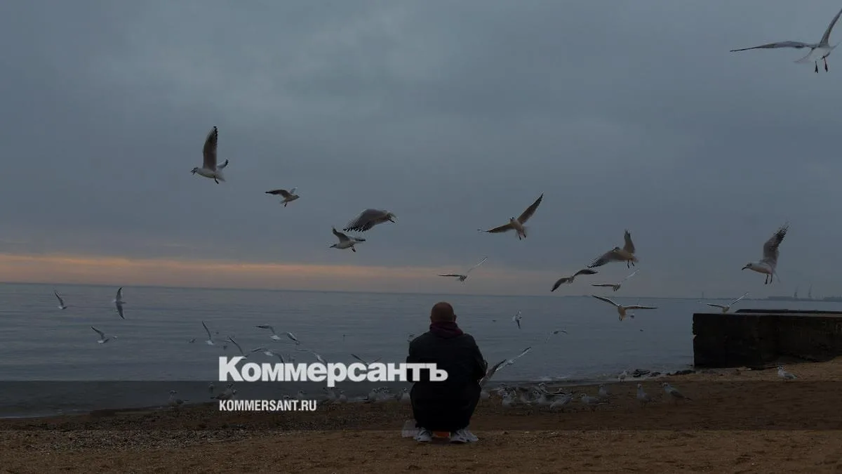 Соленость Азовского моря выросла до рекордных 16 промилле 🌊