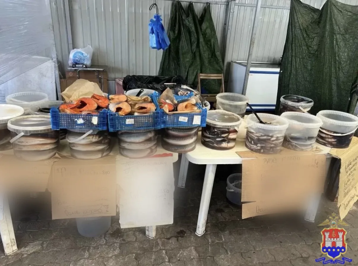 ⚡️Полицейские изъяли сотни килограммов рыбы и древесину: В Калининградской области подв...