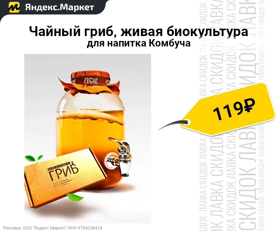 Чайный гриб, живая биокультура для напитка Комбуча