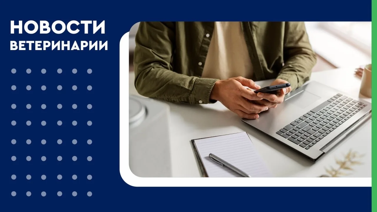 🐾 В Москве ветеринарная помощь становится цифровой