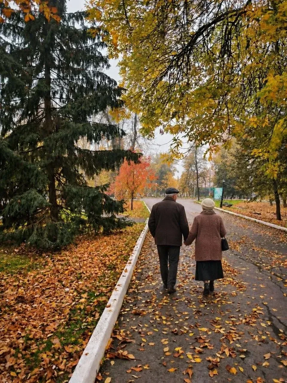 Более 3 тысяч жителей Мордовии перешагнули 90-летний рубеж. По данным регионального отд...