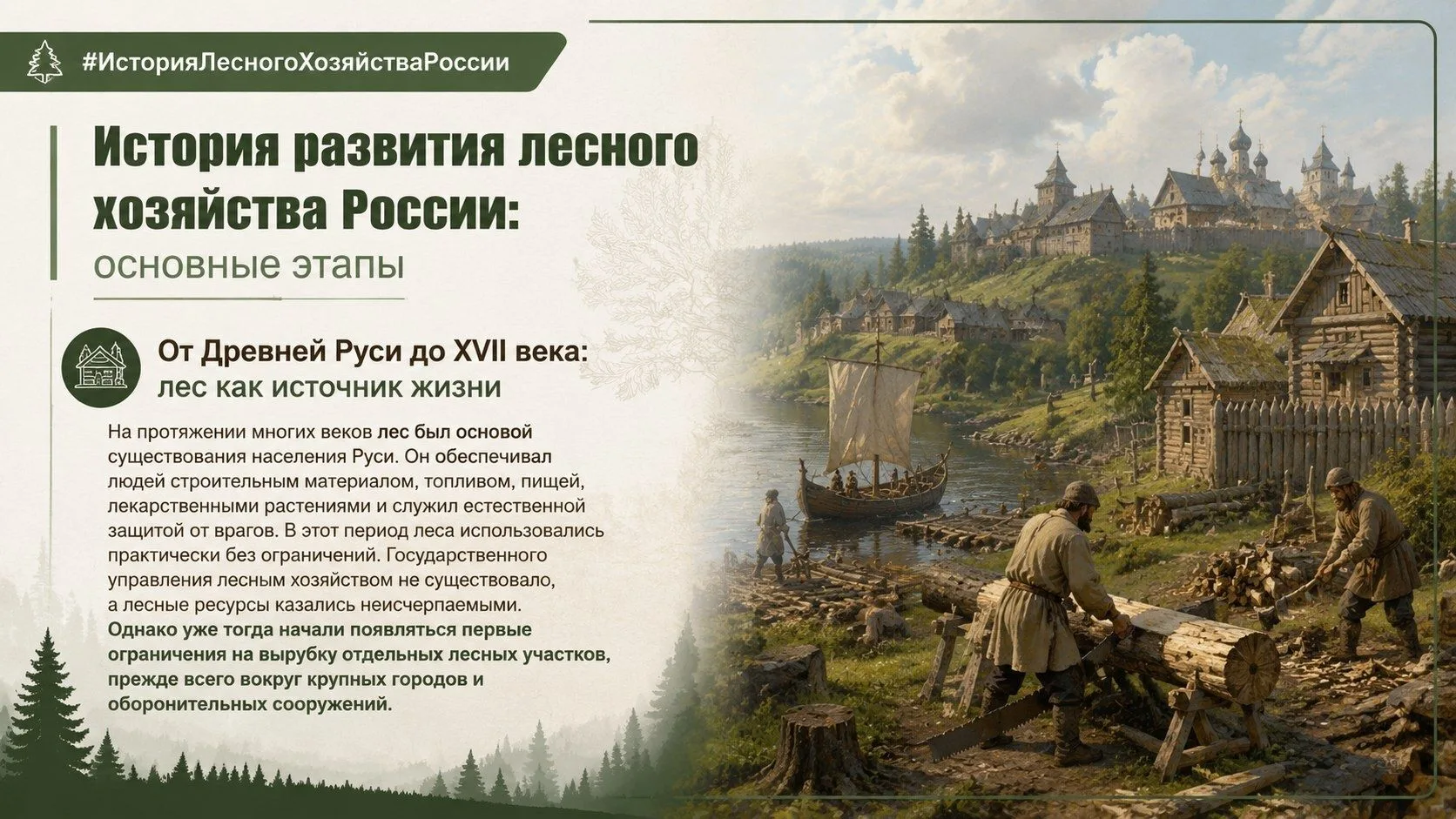История лесного хозяйства России: от корабельных рощ до цифрового леса
Часть 1. Когда лес был всем
Д