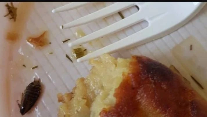Анонимно пожалуйста!! Ельниковская роща, настоящая забегаловка!! Шашлычная ,,туман,,. Я...