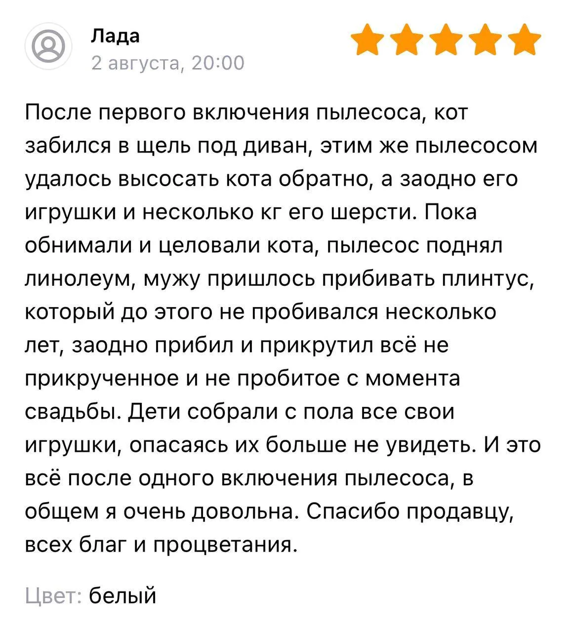 Более продающего отзыва на пылесос мы ещё не видели