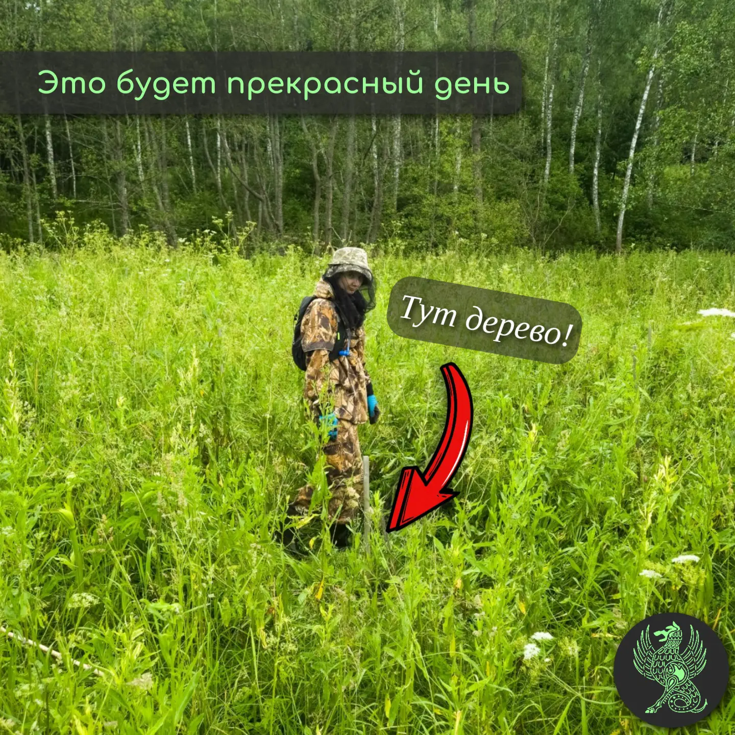 Это будет прекрасный день

Целый день под открытым небом. Заросший ароматными травами склон, бабочки