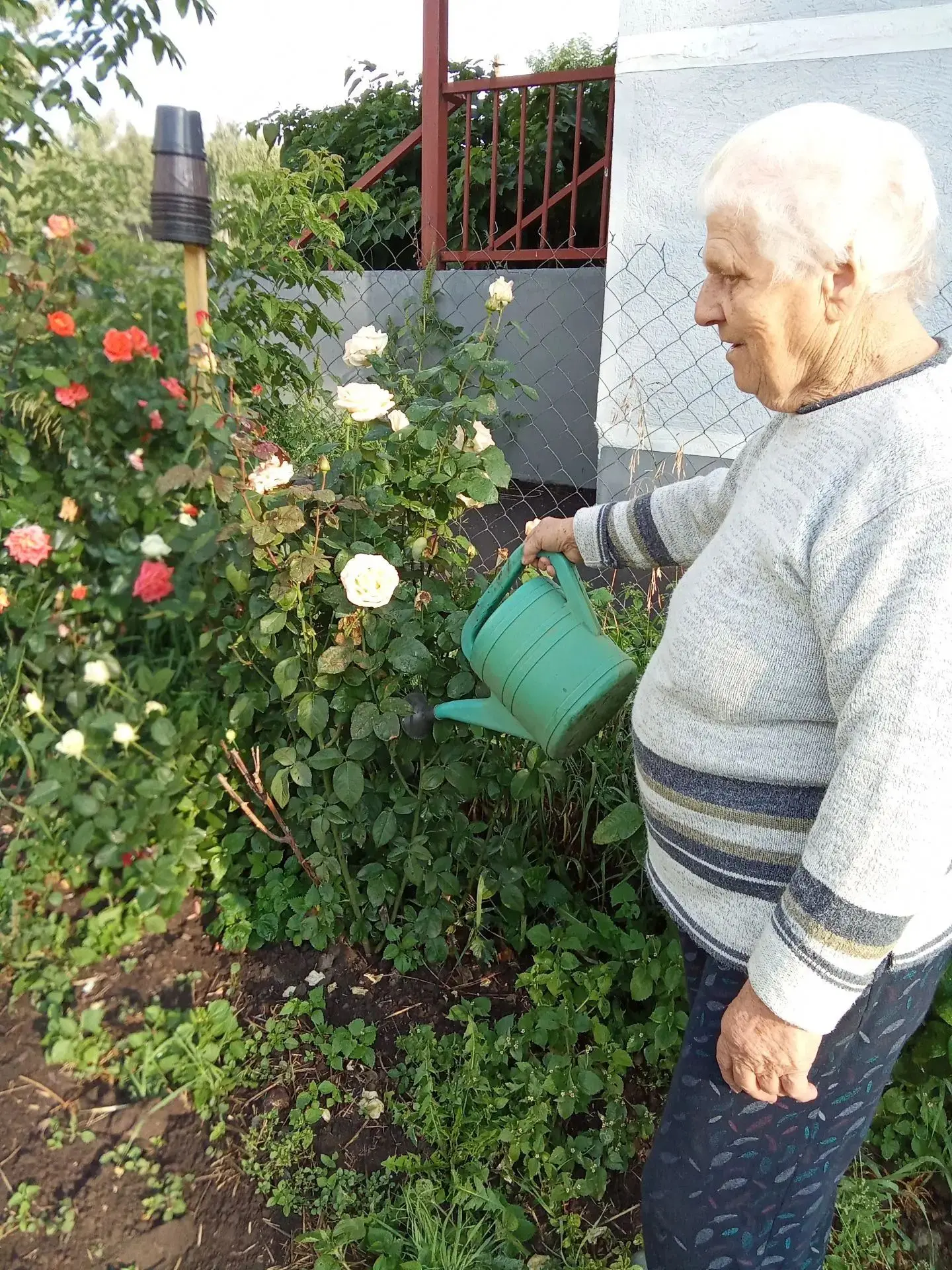 🌸Получатели социальных услуг на дому с удовольствием выращивают цветы.🌺