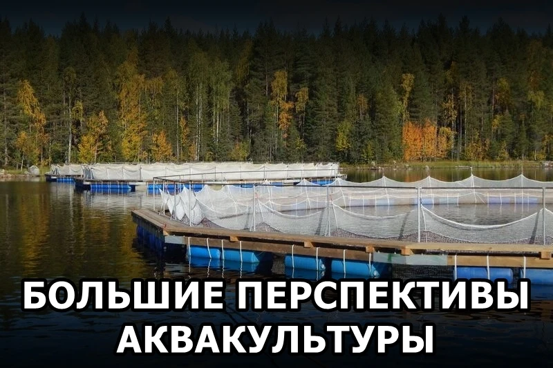 🐟 Сенатор заявила о больших перспективах развития аквакультуры