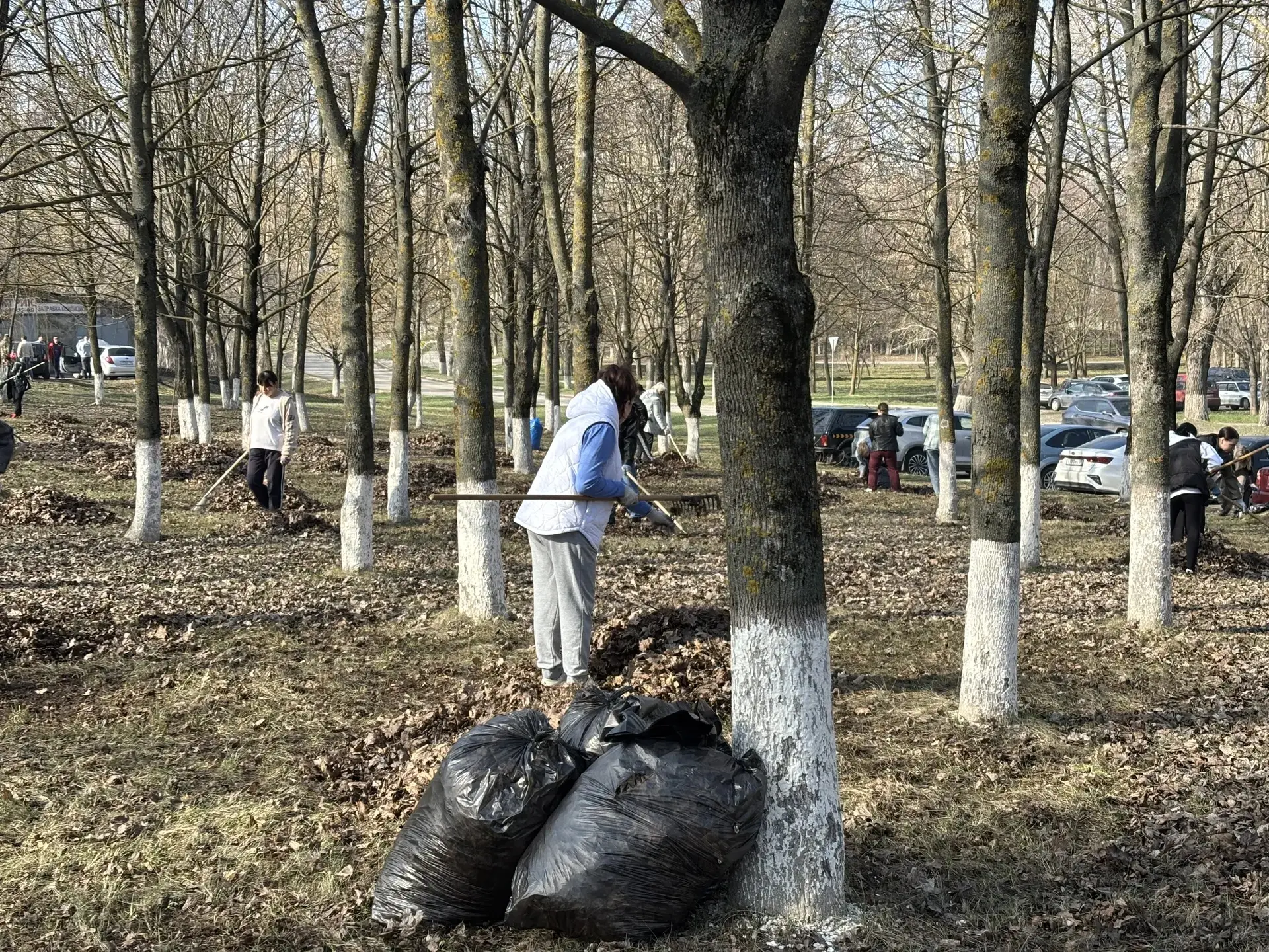 Педагоги школы вчера активно участвовали в общегородском субботнике. Вооружившись перчатками и мешка