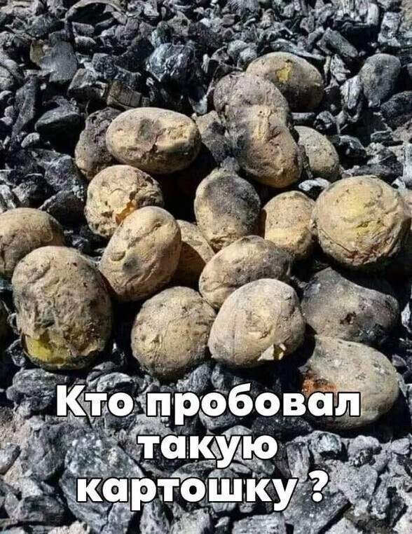 Вкус из нашего детства. Не было вкуснее картошки, чем картошка с костра