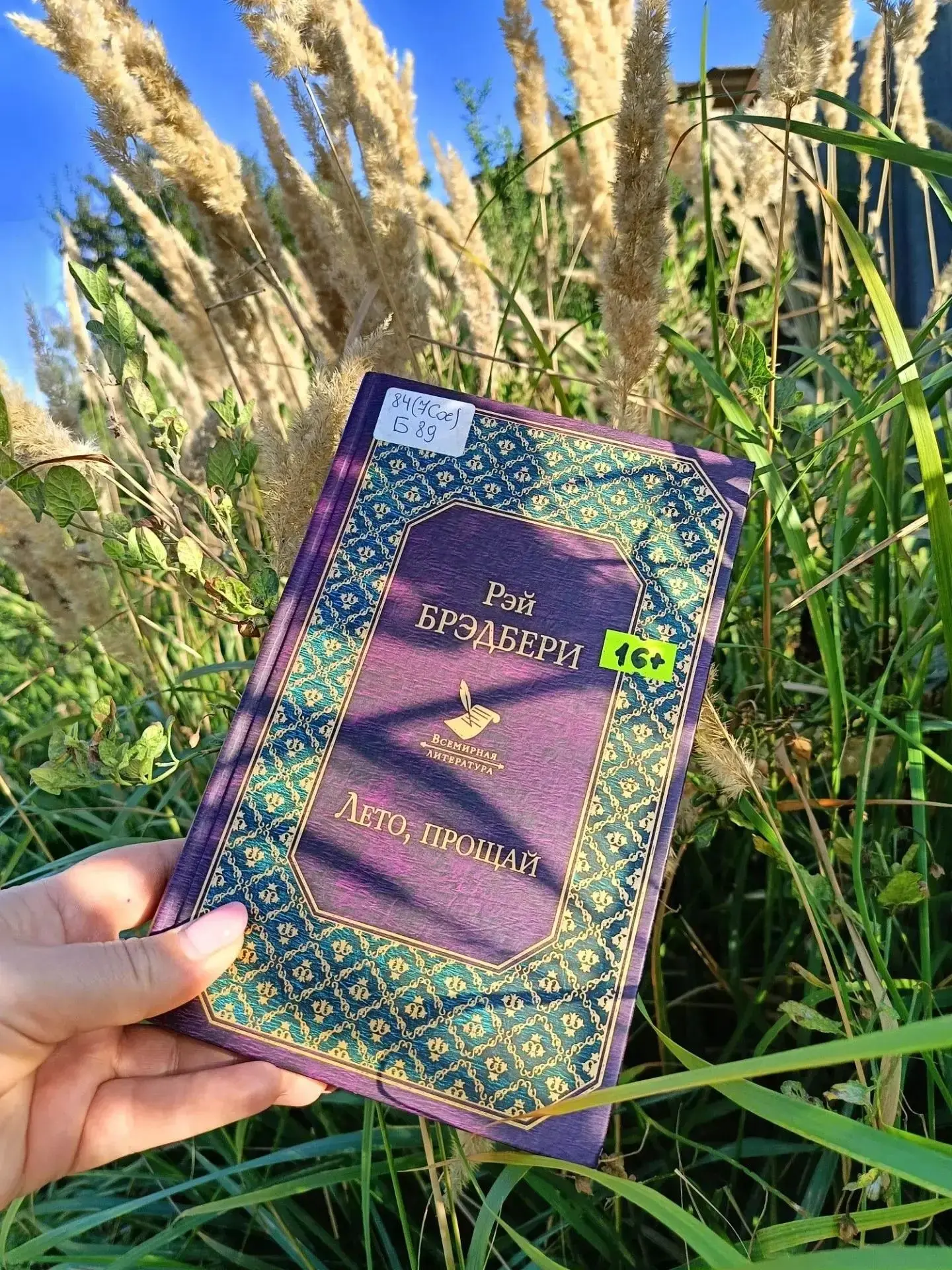 📚 «Чуешь, какой воздух? Август пришёл. Прощай, лето»