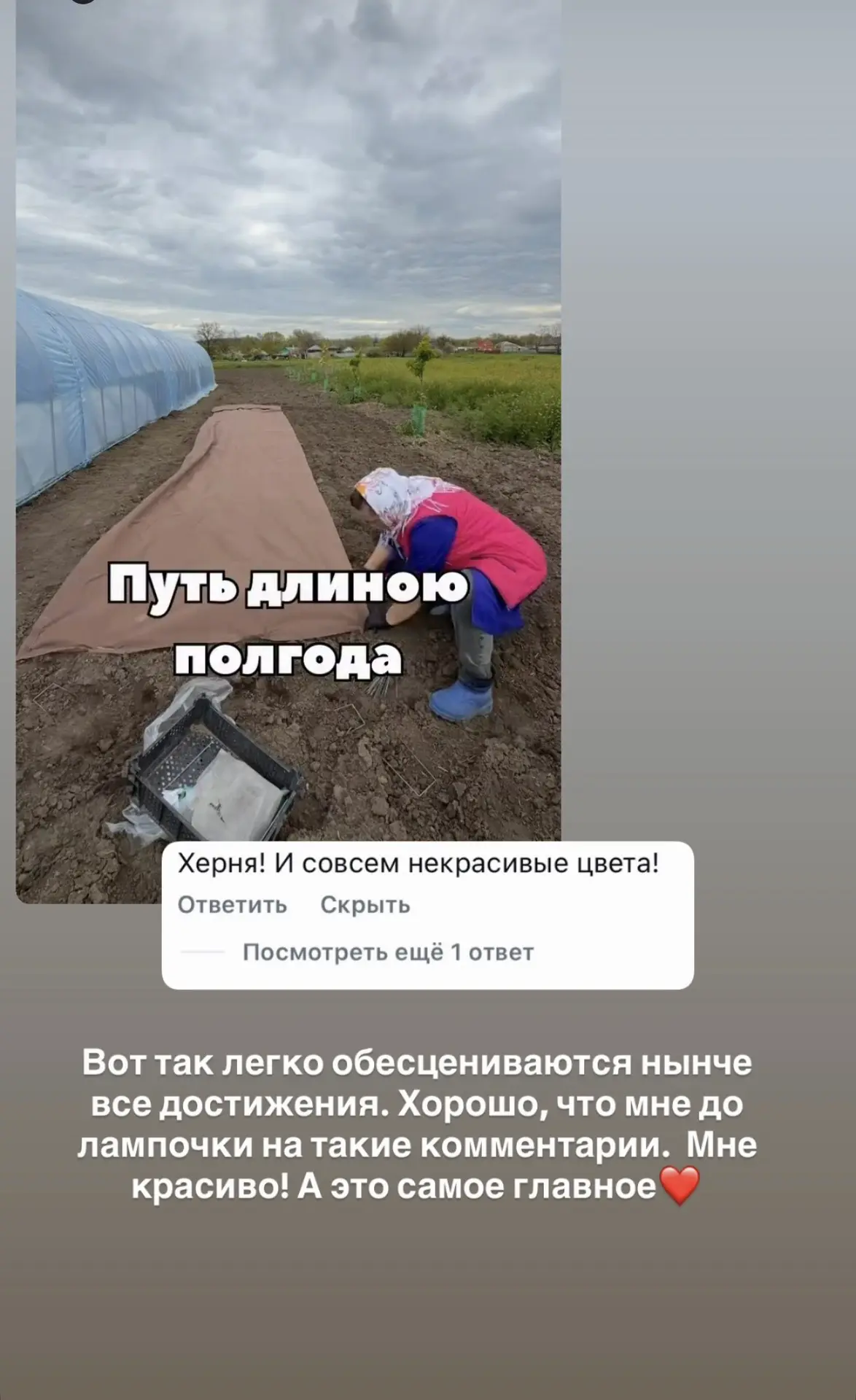 Пока мы вместе с вами восхищаемся красотой осенних хризантем-мультифлор, некоторые несч...