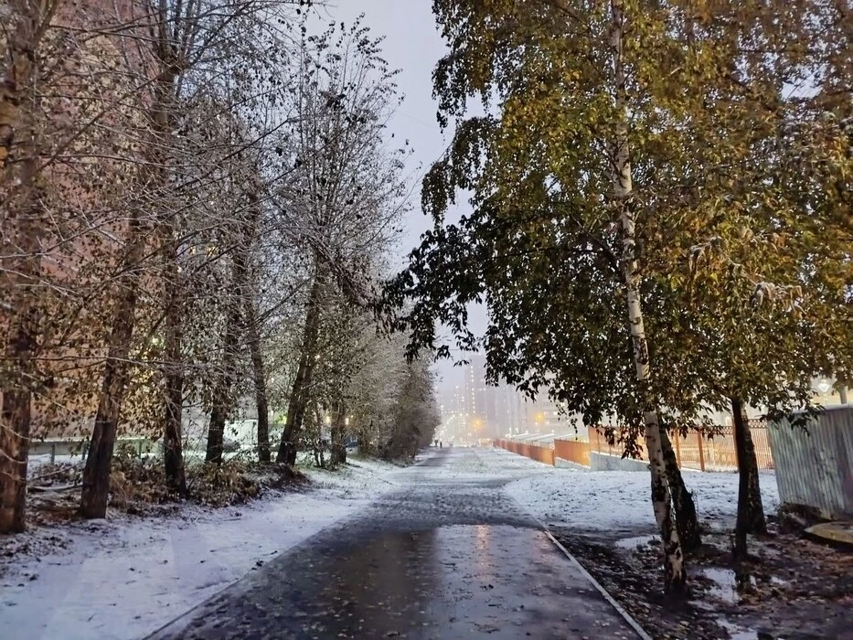 Уже? ❄ Первый снег в Новосибирске прогнозируют 17 октября