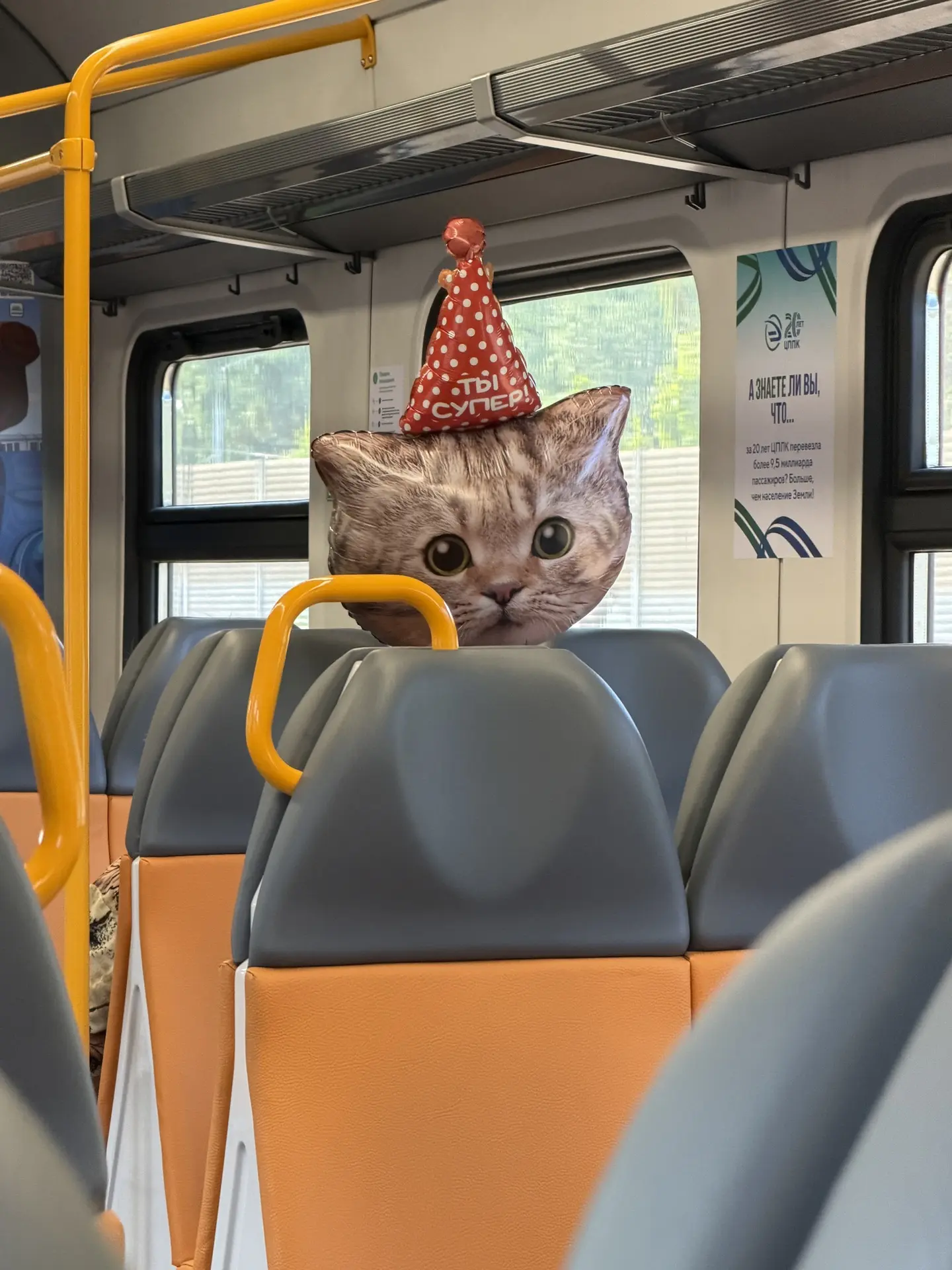 Оффтоп 😸