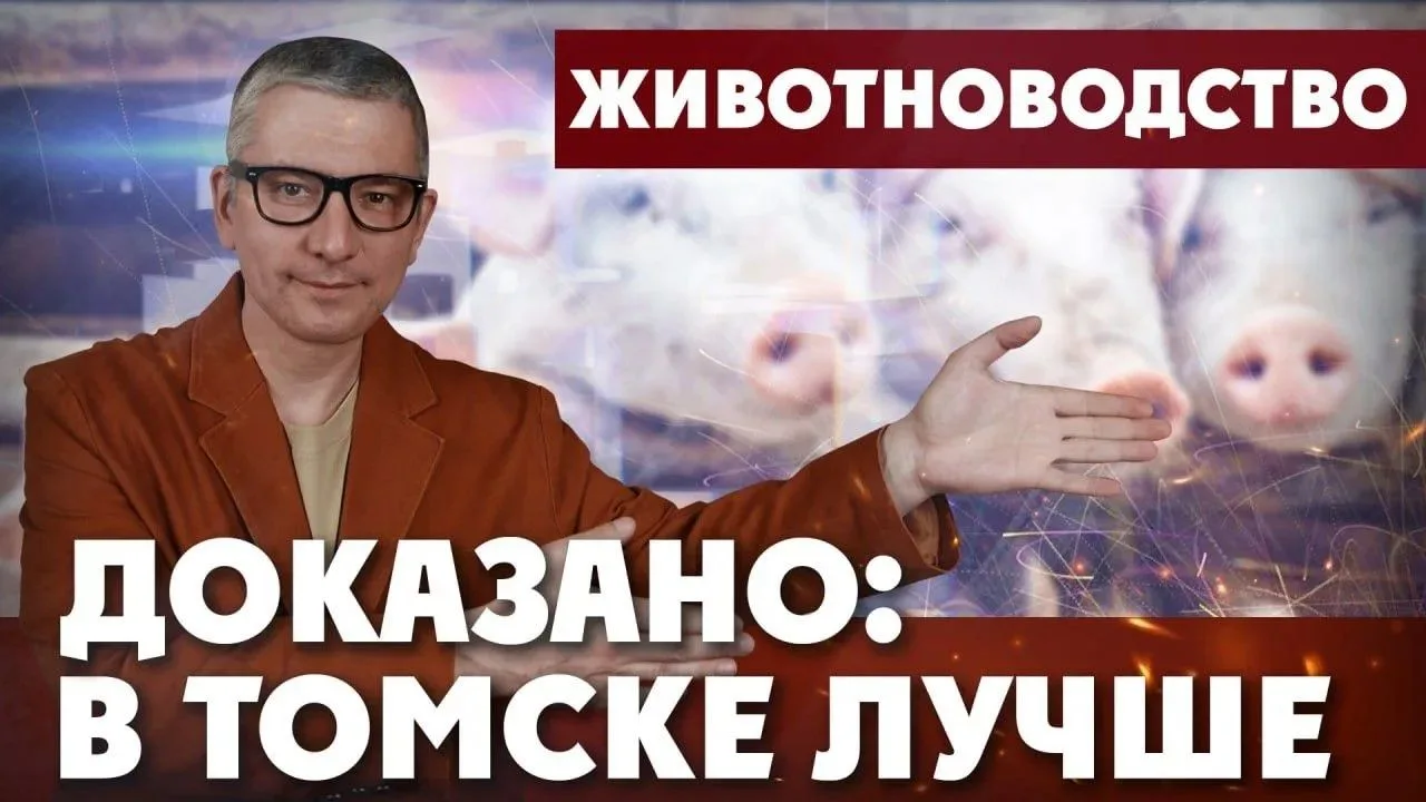 Сибирь — это не только про морозы и тайгу. Это ещё и про технологии, которые кормят всю страну

В но