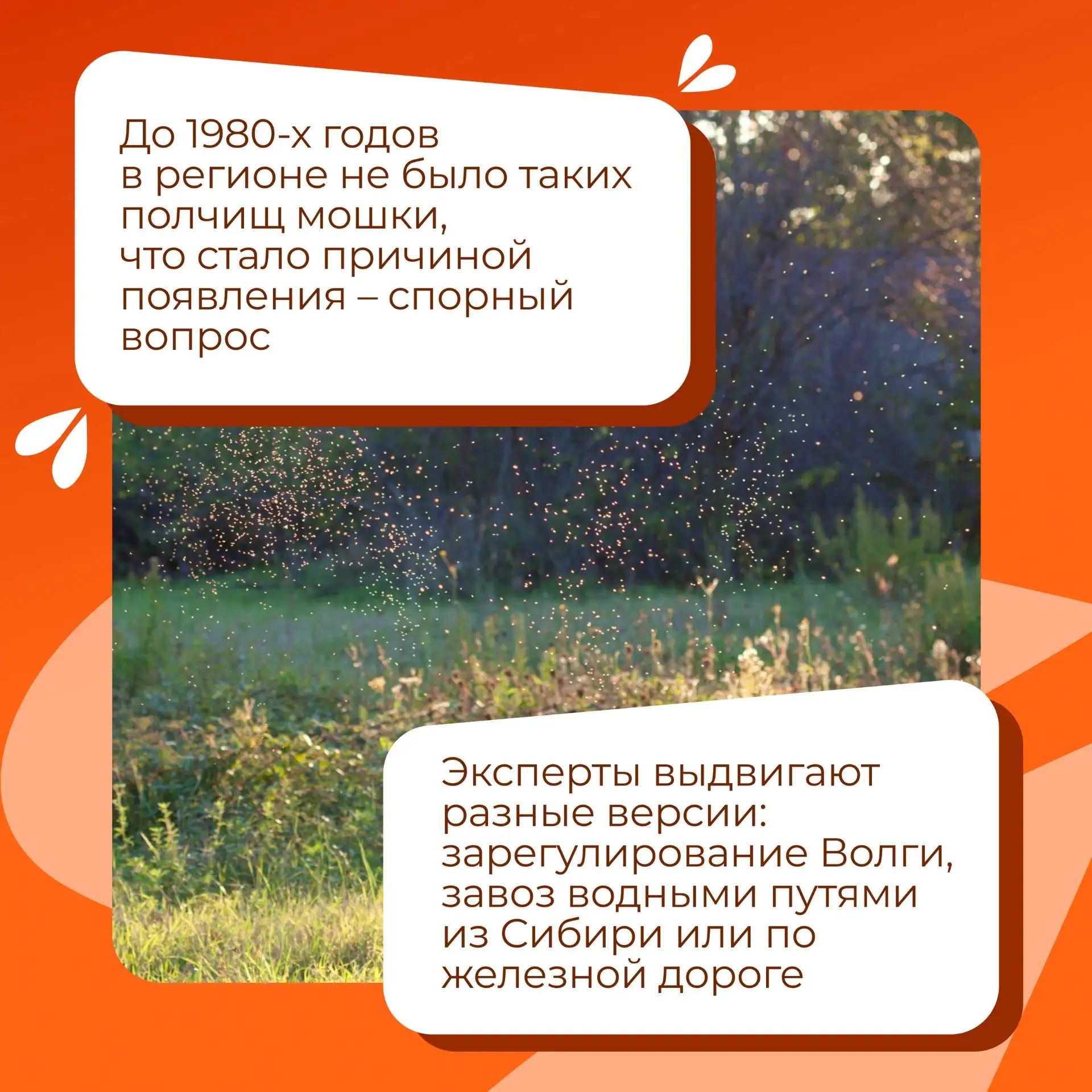 В Астраханской области начинается сезон мошки