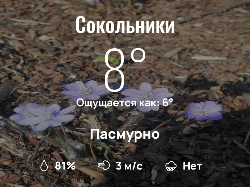 Что с погодой в Сокольниках?