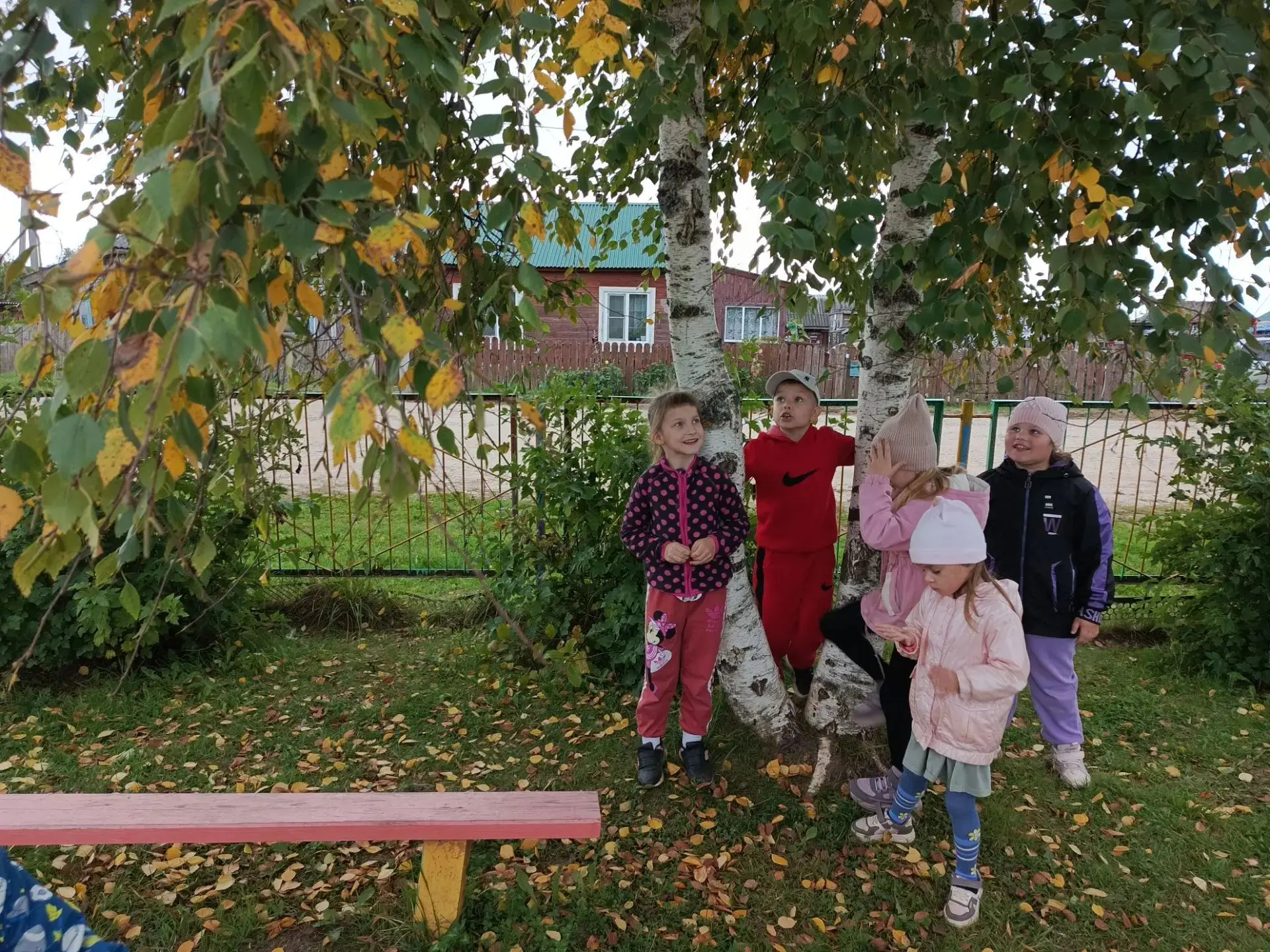 🍁Осень – одно из благоприятных времён года для наблюдений за изменениями в природе и о...