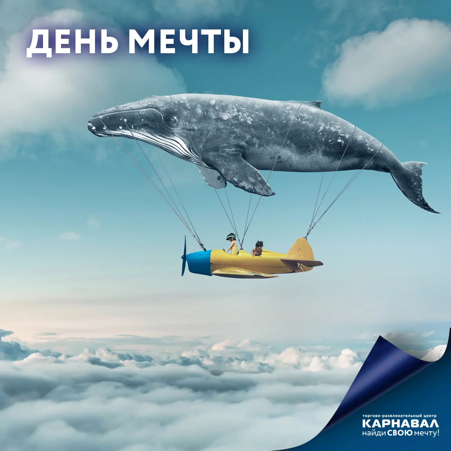 О чем вы мечтаете? Например, поехать в кругосветное путешествие, или чтобы зацвел редки...