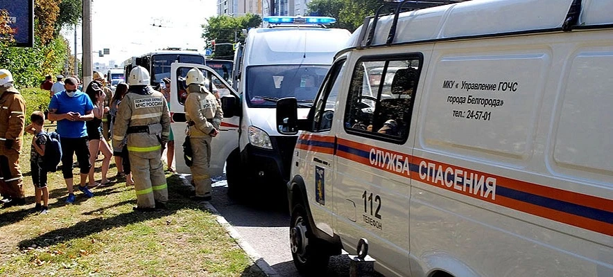 В Белгороде мужчина переходил дорогу на красный и попал под автомобиль