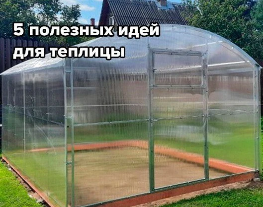 5 полезных идей для теплицы