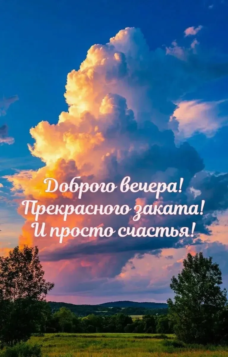 МОИ ОТКРЫТКИ 💌
ПОДПИСАТЬСЯ