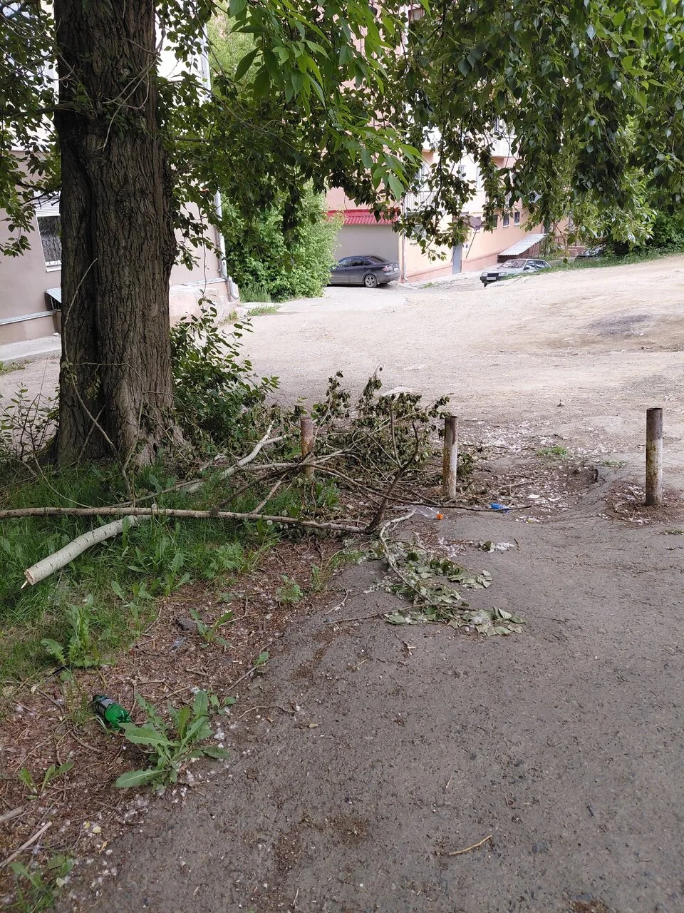 Двор в самом центре города, Свердлова 55. Обслуживается УК Техно Инновации (40 лет октября 3). Факти