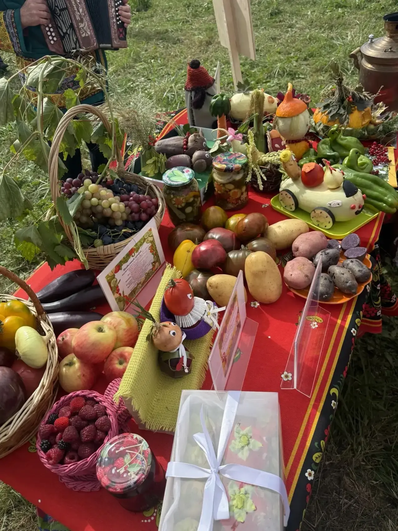 С гордостью делимся итогами участия Боровичского муниципального округа в конкурсе ветер...