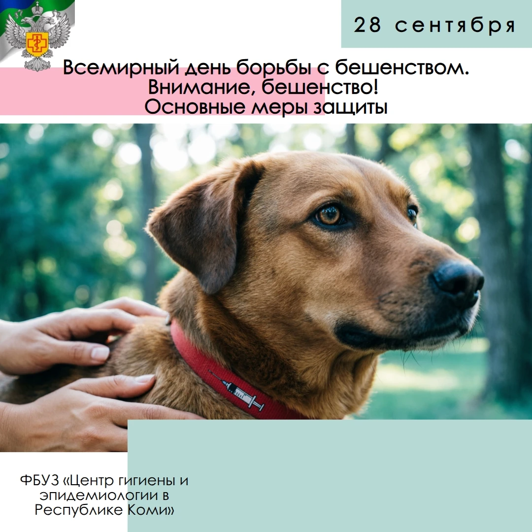 Всемирный день борьбы с бешенством. Внимание, бешенство! Основные меры защиты