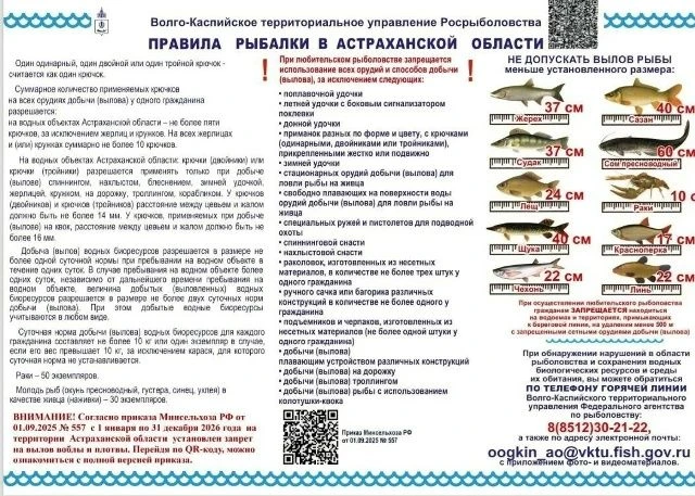 Правила рыбалки в Астраханской области на 2026 год
Минсельхоз России установил запретные периоды для