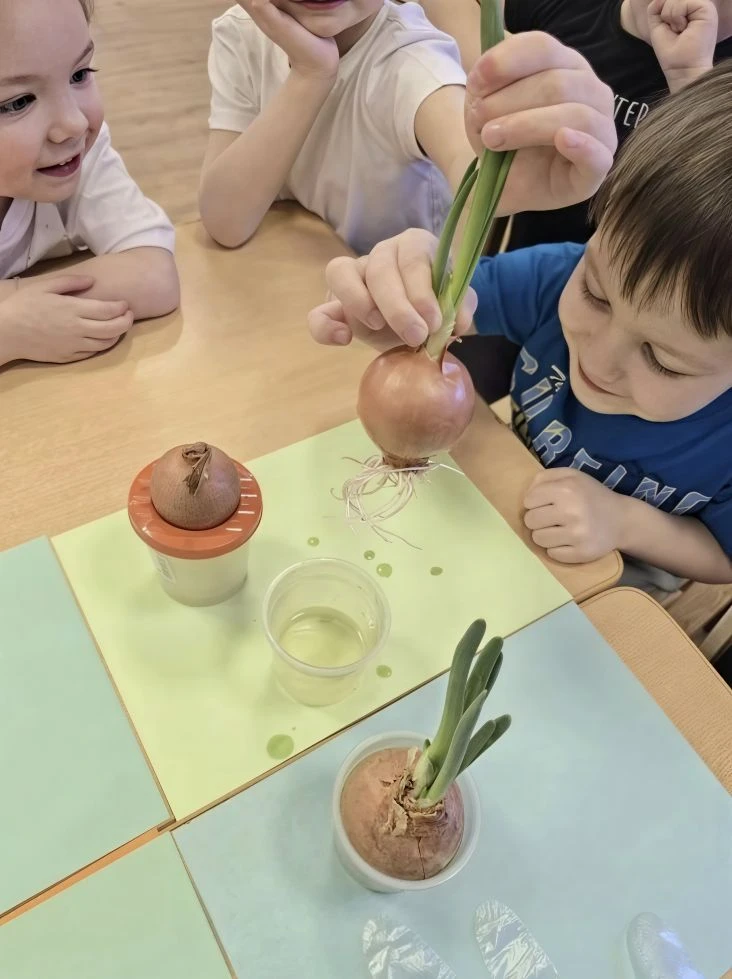 Первый урожай! 🌱  🏡 Наши воспитанники из старшей группы "Умники" открыли "дачный сезон", не выходя и