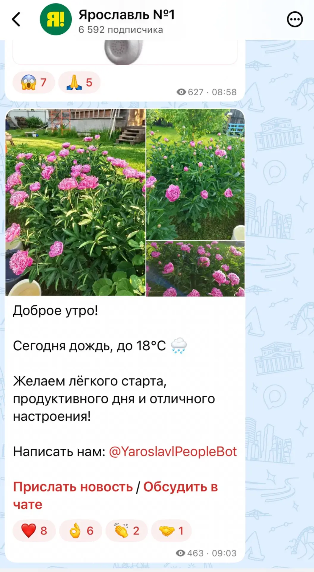 Канал «Ярославль №1» в МАХ читают уже более 6,5 тысяч подписчиков!