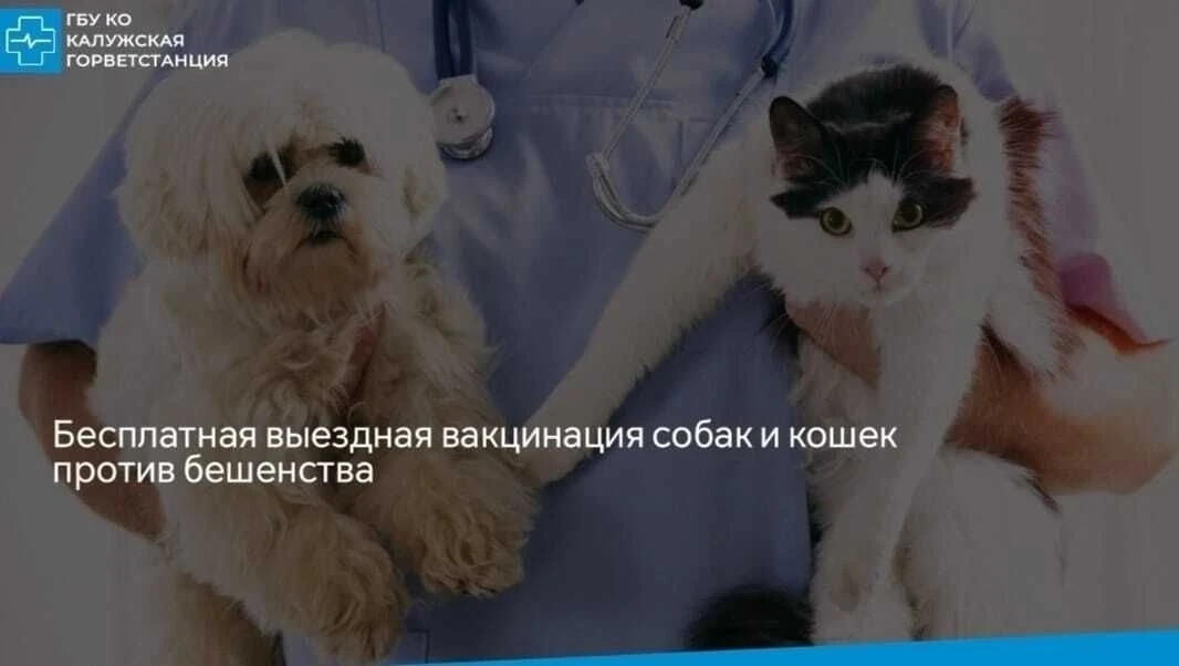 📢 Уважаемые владельцы домашних животных, проживающие на ст.Тихонова Пустынь,п.Новый, д...