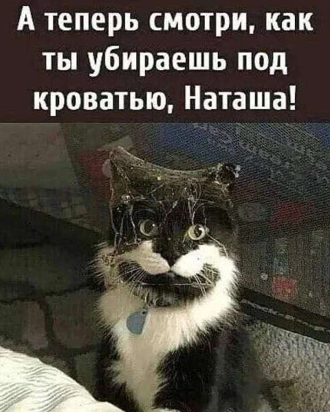 Анекдоты - Подписаться