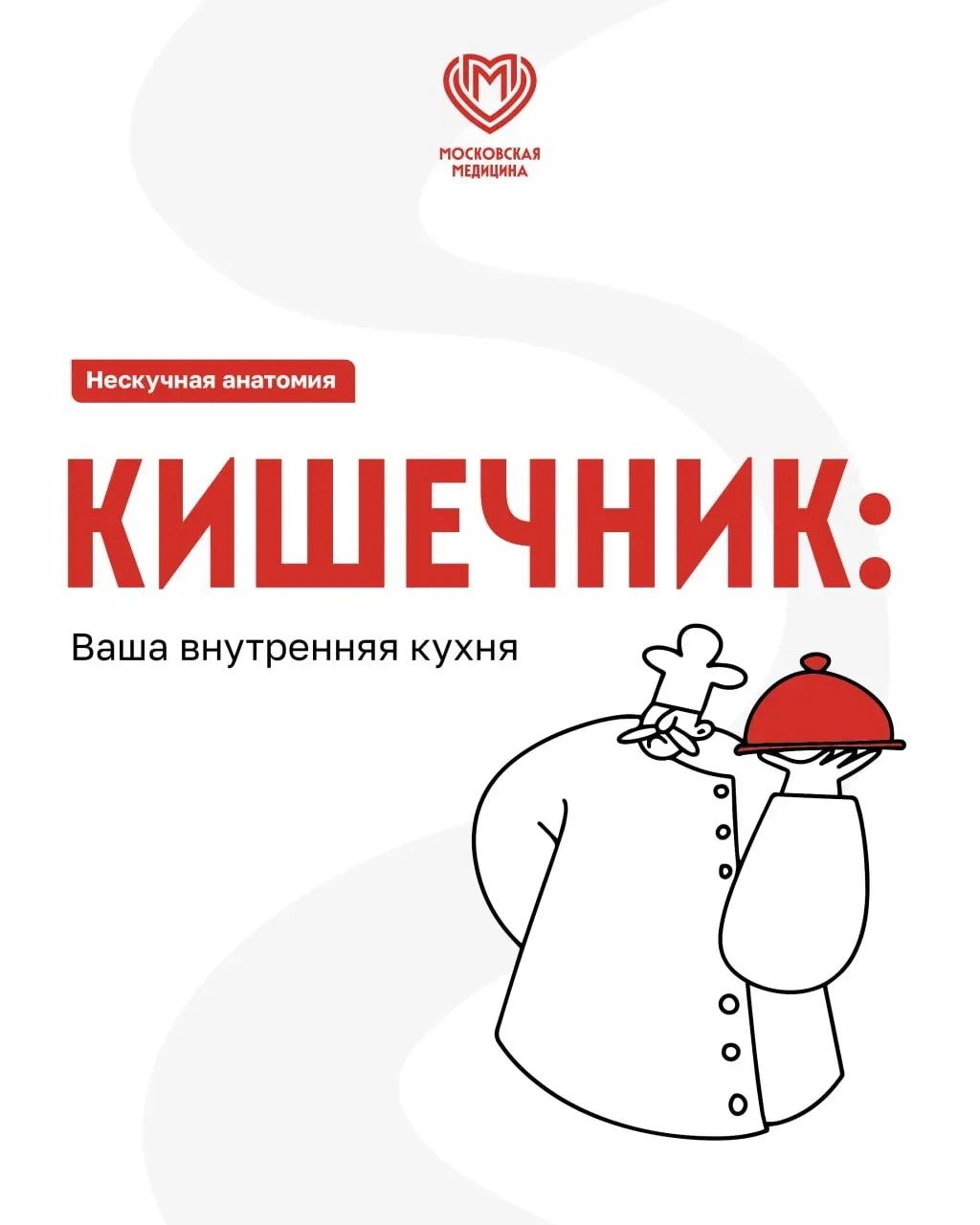 Разбираем вашу «внутреннюю кухню»: как устроен кишечник и почему его здоровье — рецепт ...