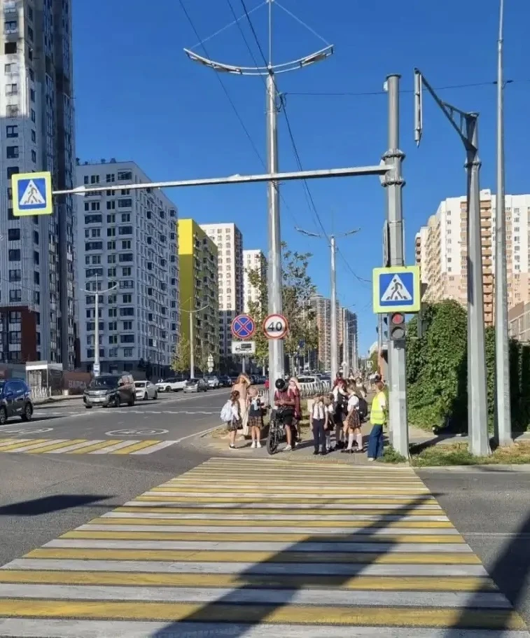 Безопасность детей — наш общий приоритет! В школе прошёл «Родительский патруль ПДД».