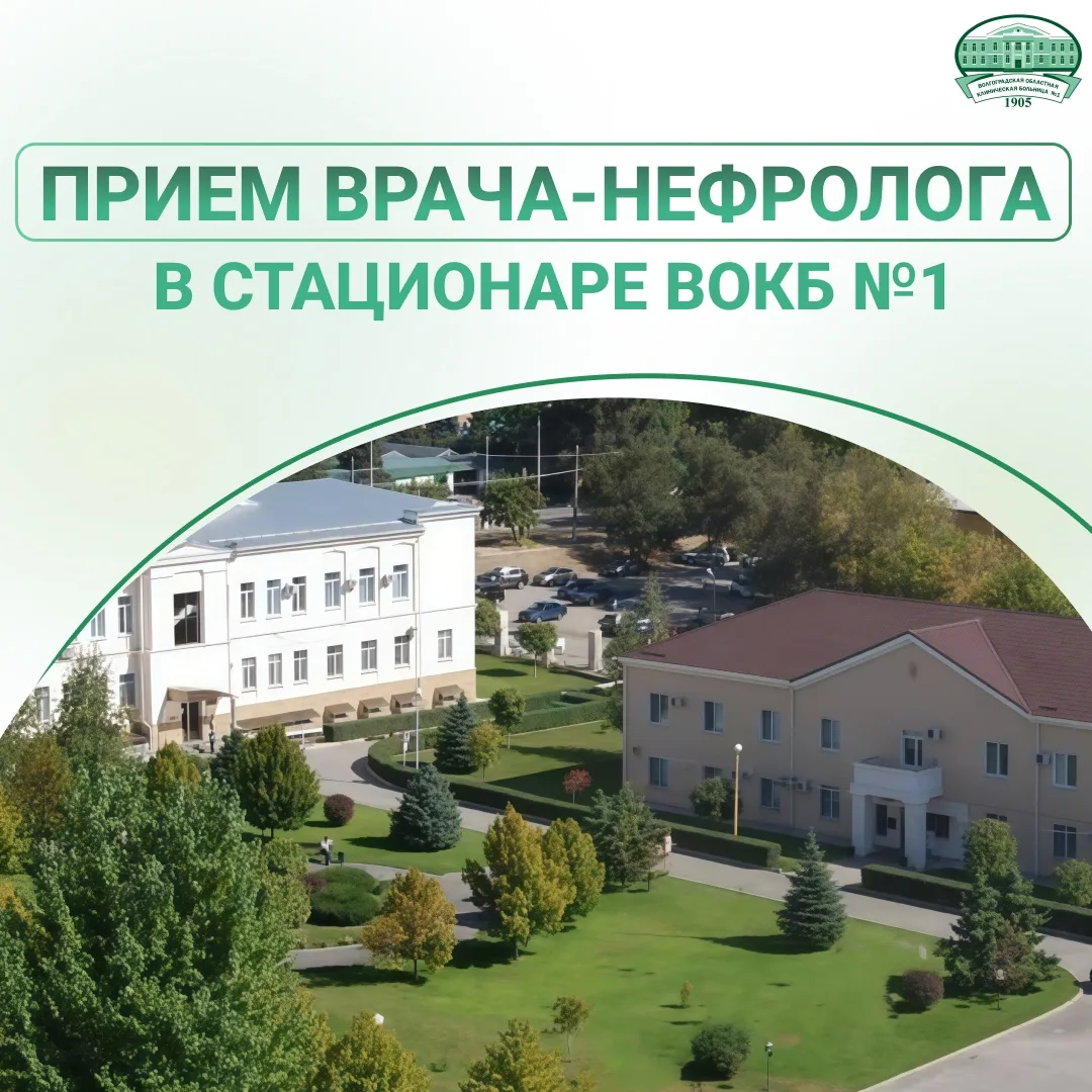 Забота о почках — это забота о качестве жизни. Именно этот орган выполняет роль главног...
