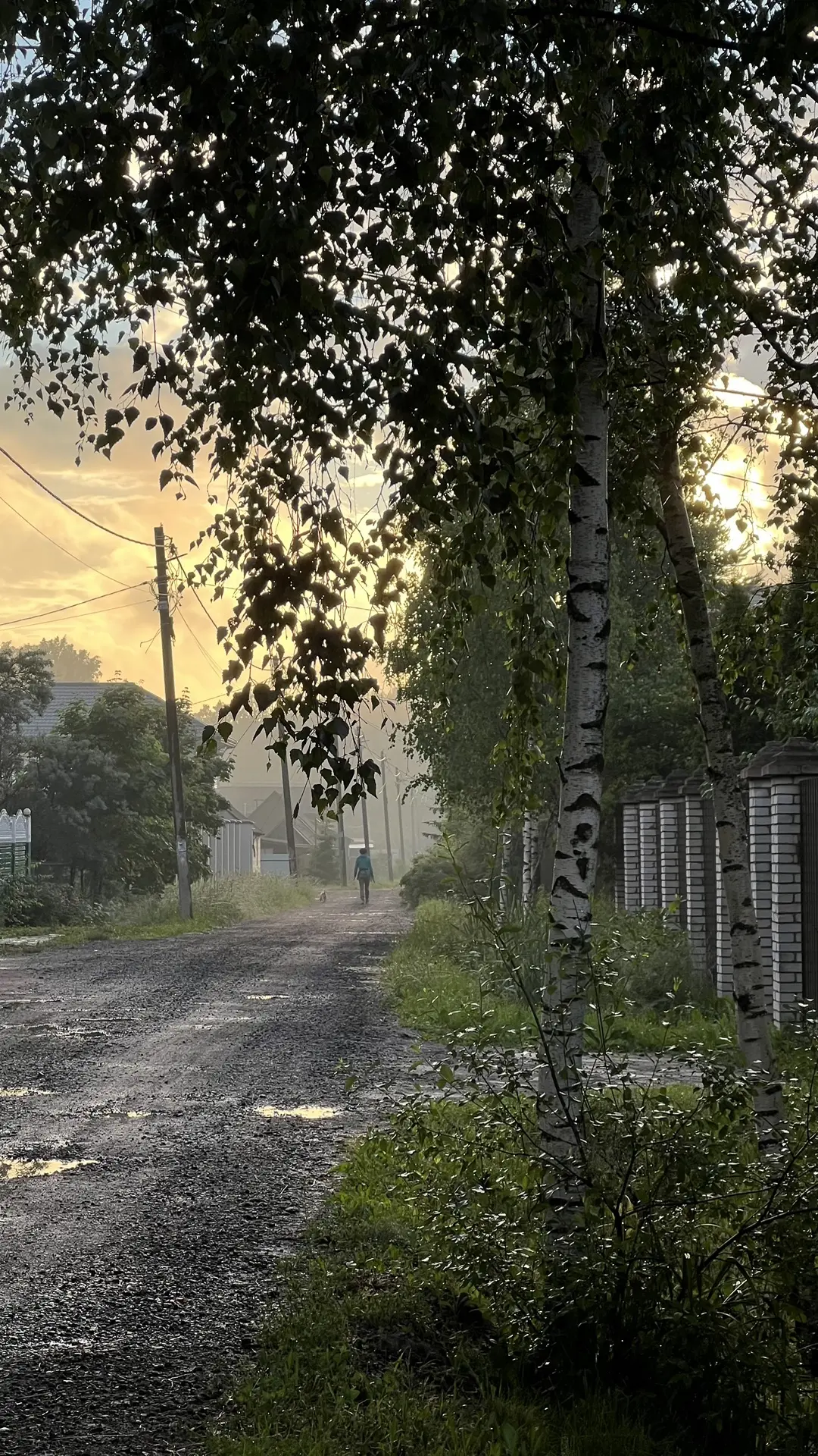 Вечерний вайб ☺️А какой воздух!!! Мне в детстве было очень хорошо у бабушки. Беззаботно...
