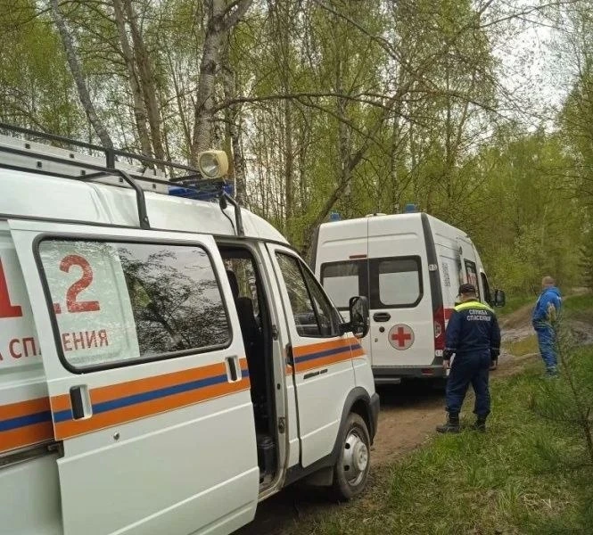 В Воскресенске спасли заблудившегося в лесу мужчину  Ранним утром 10 мая в службу-112 поступил звоно
