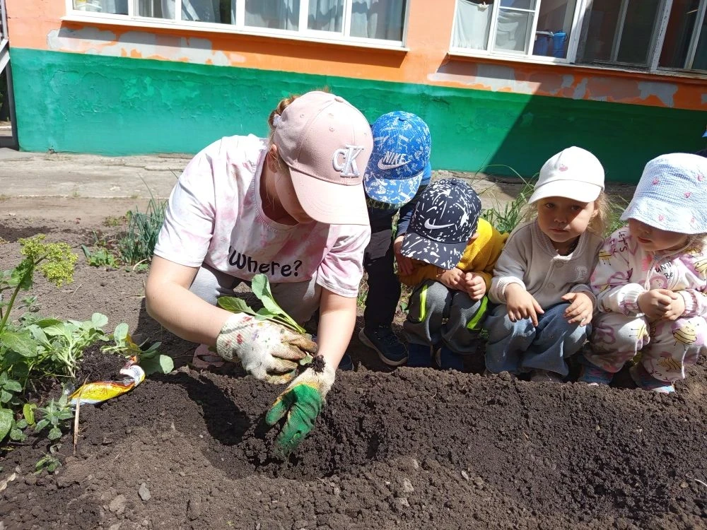 В группе Смешарики состоялось увлекательное занятие «Капустные грядки». Ребята вместе с воспитателем