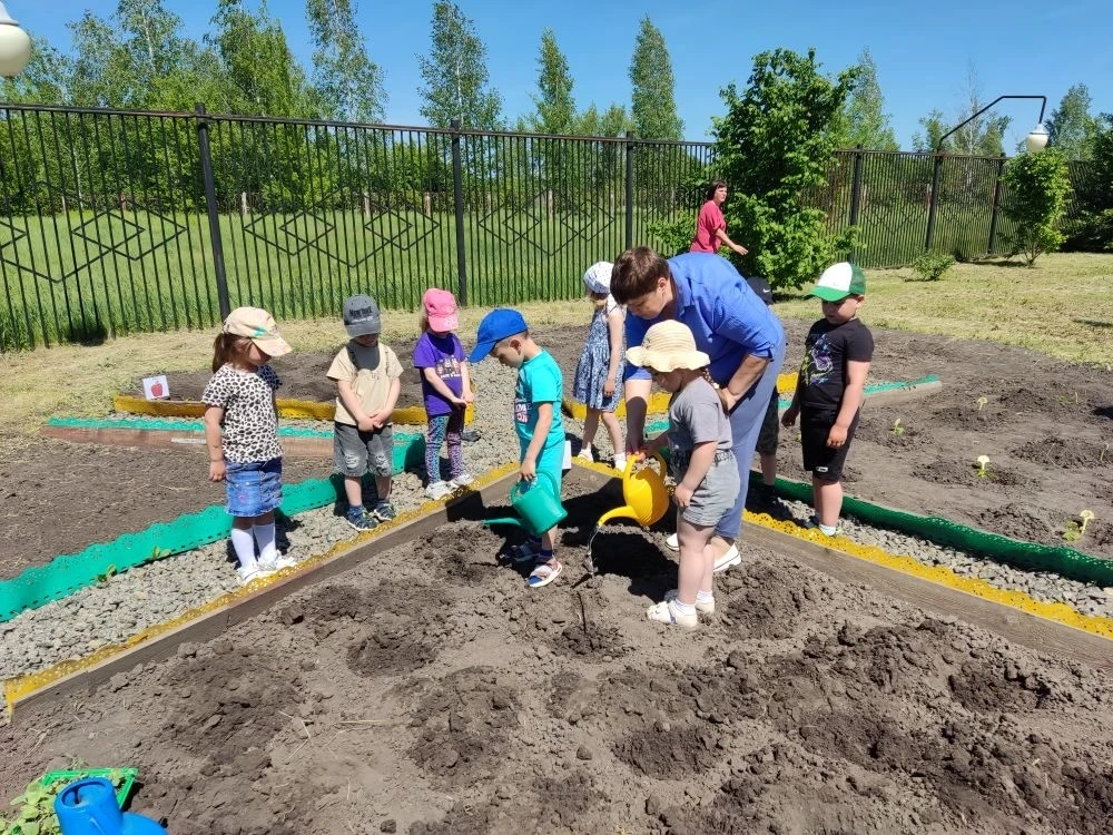 🌱Огород на участке в средней группе 🌱
