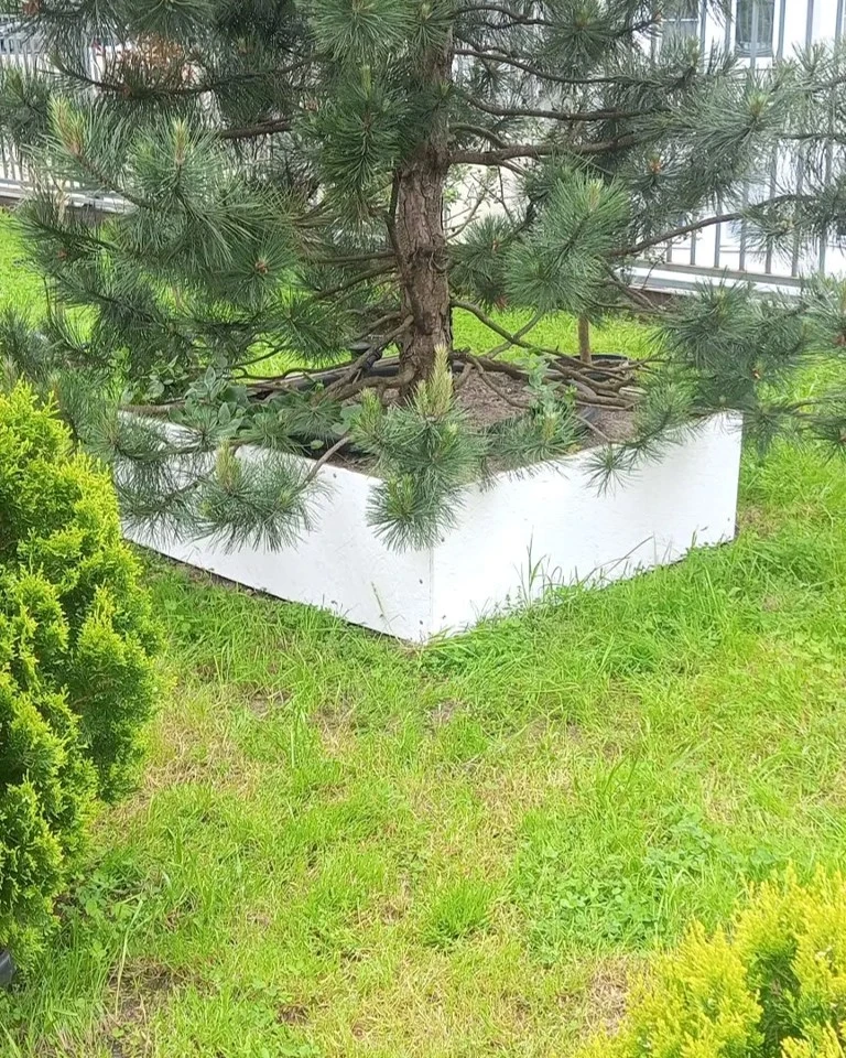 🌿 БЛАГОУСТРОЙСТВО