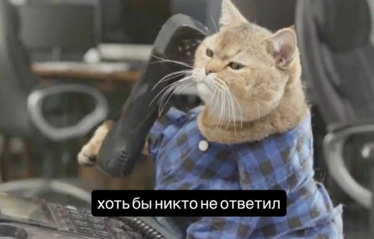 Хоть бы никто не ответил😁