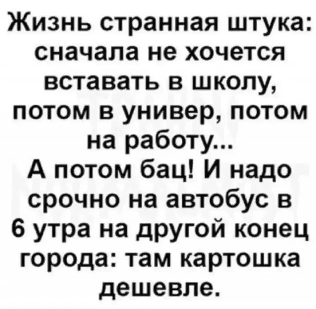 Молния ⚡Юмор
