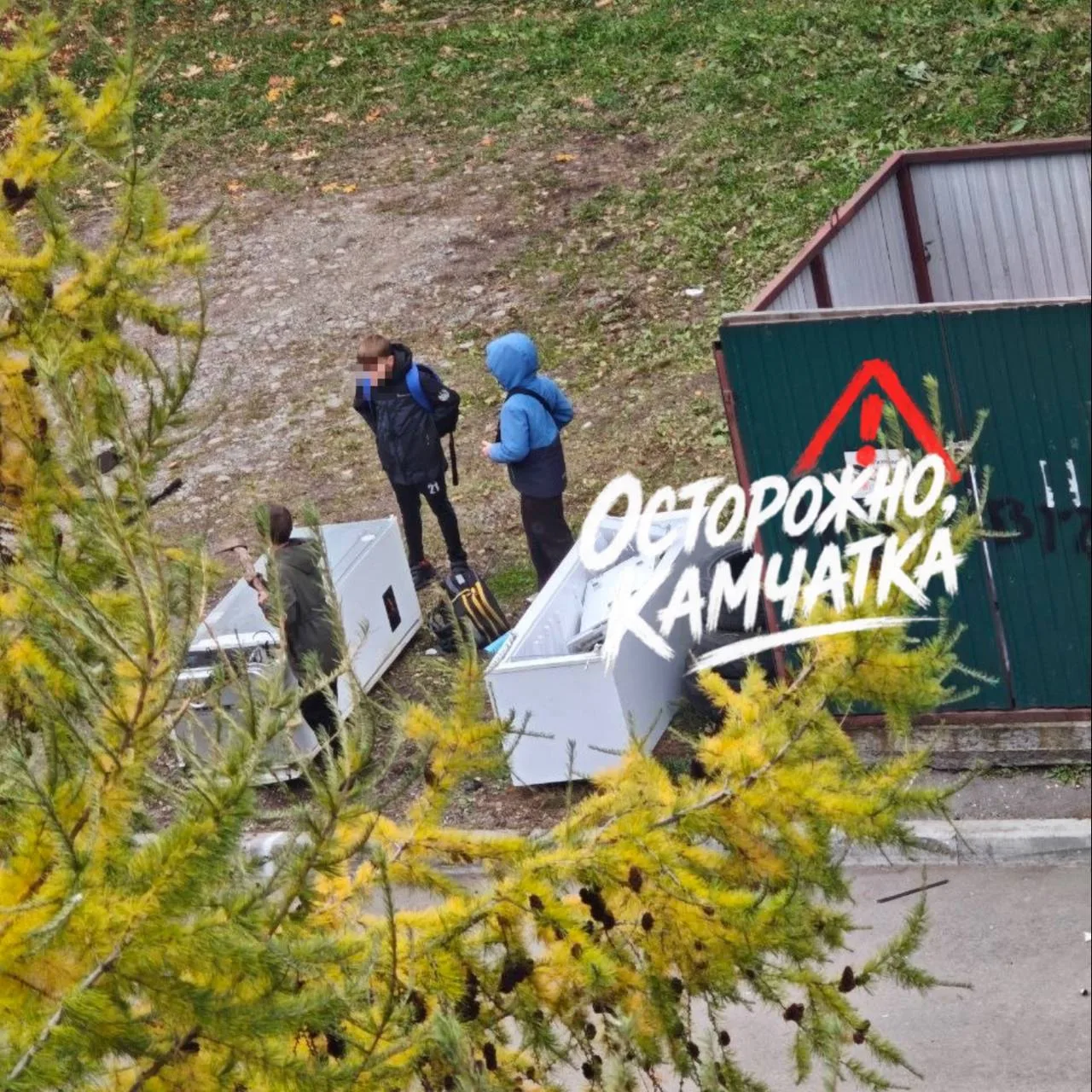 ⚠️ В Елизове на прогулку – с топором