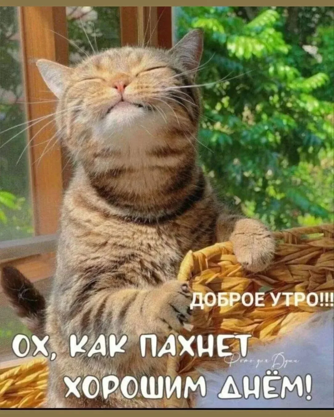 Много везения и хорошего настроения😍