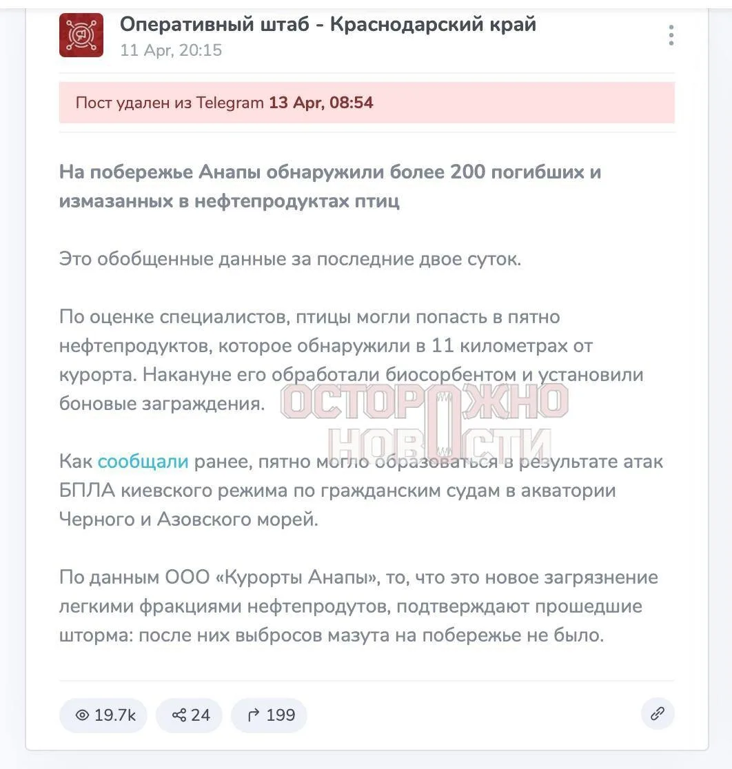 ⚡11 апреля Кондратьев отчитался Путину о готовности пляжей — и в тот же день случился н...