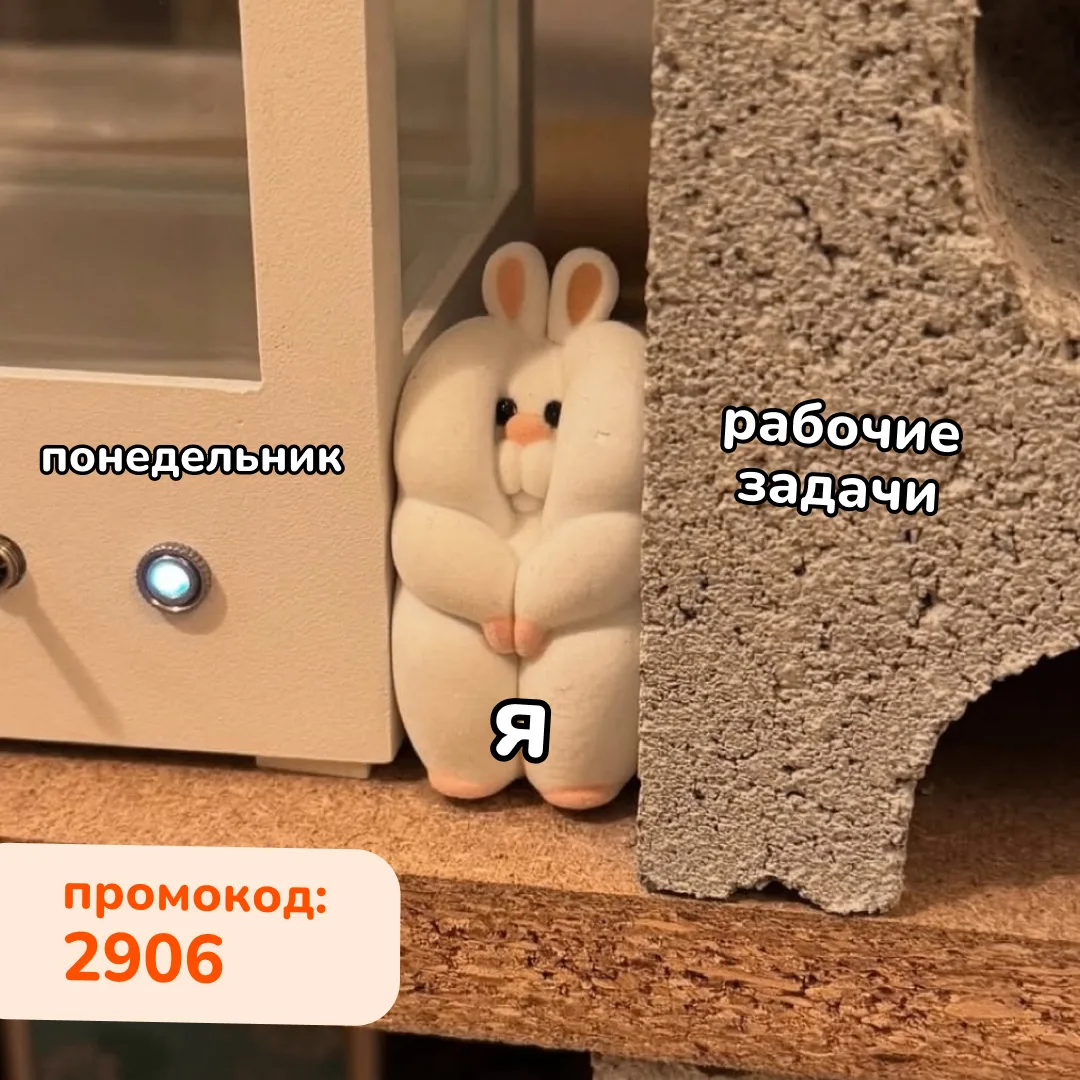 Если вы чувствуете себя так же, как этот кролик, забирайте подарочек! 🎁