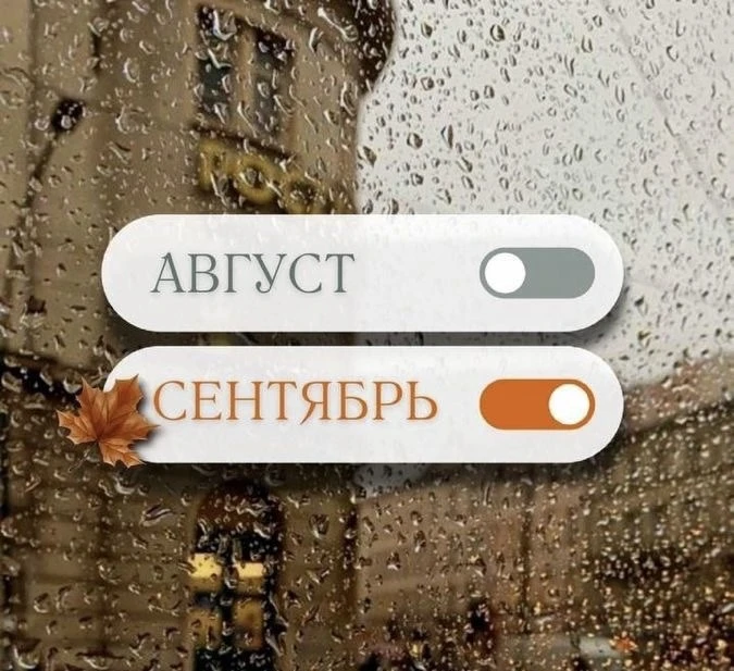 💬Открываем live-чат
