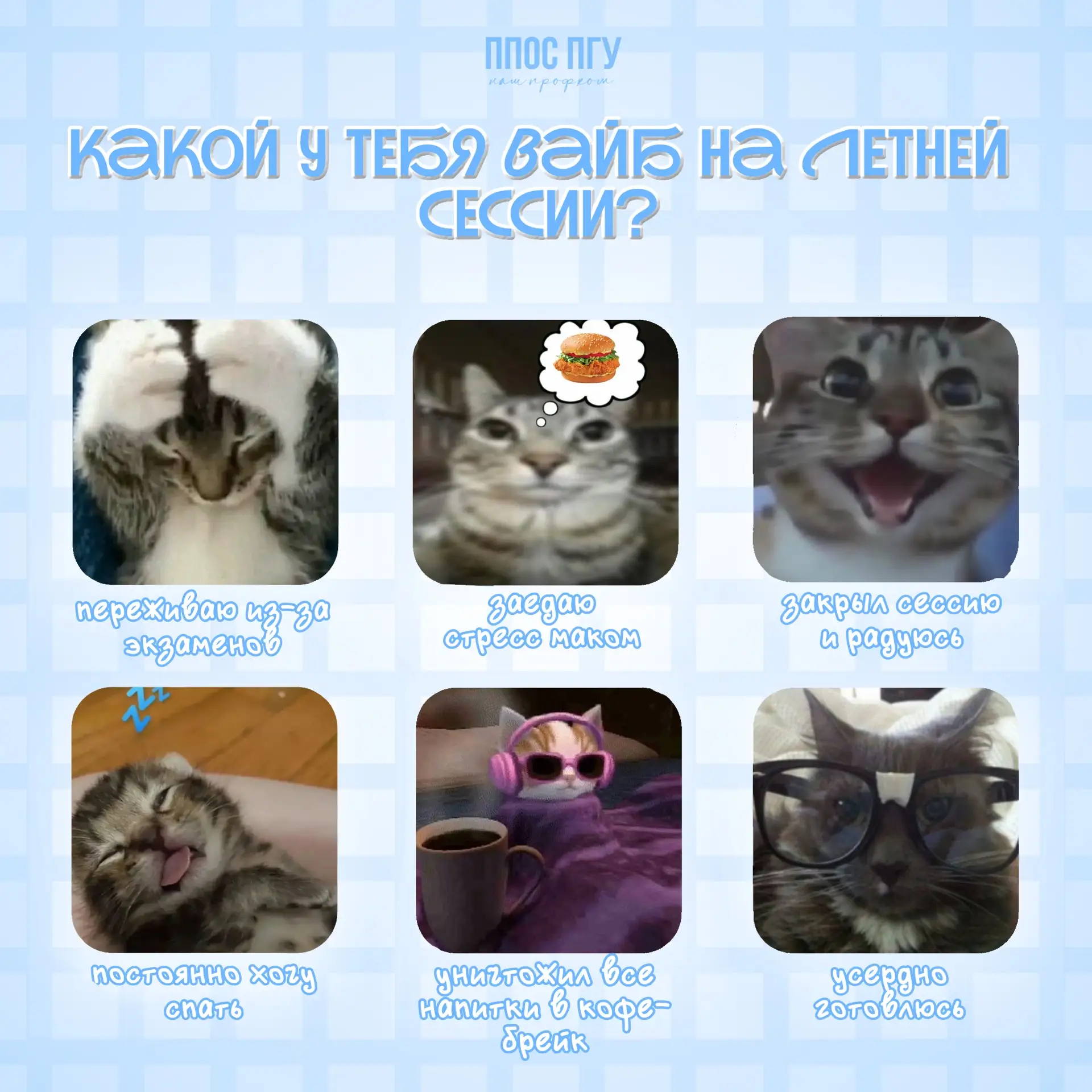 Календарь безжалостен: за окном манящее лето, а в планах – ОНА. Сессия, которая всегда подкрадываетс
