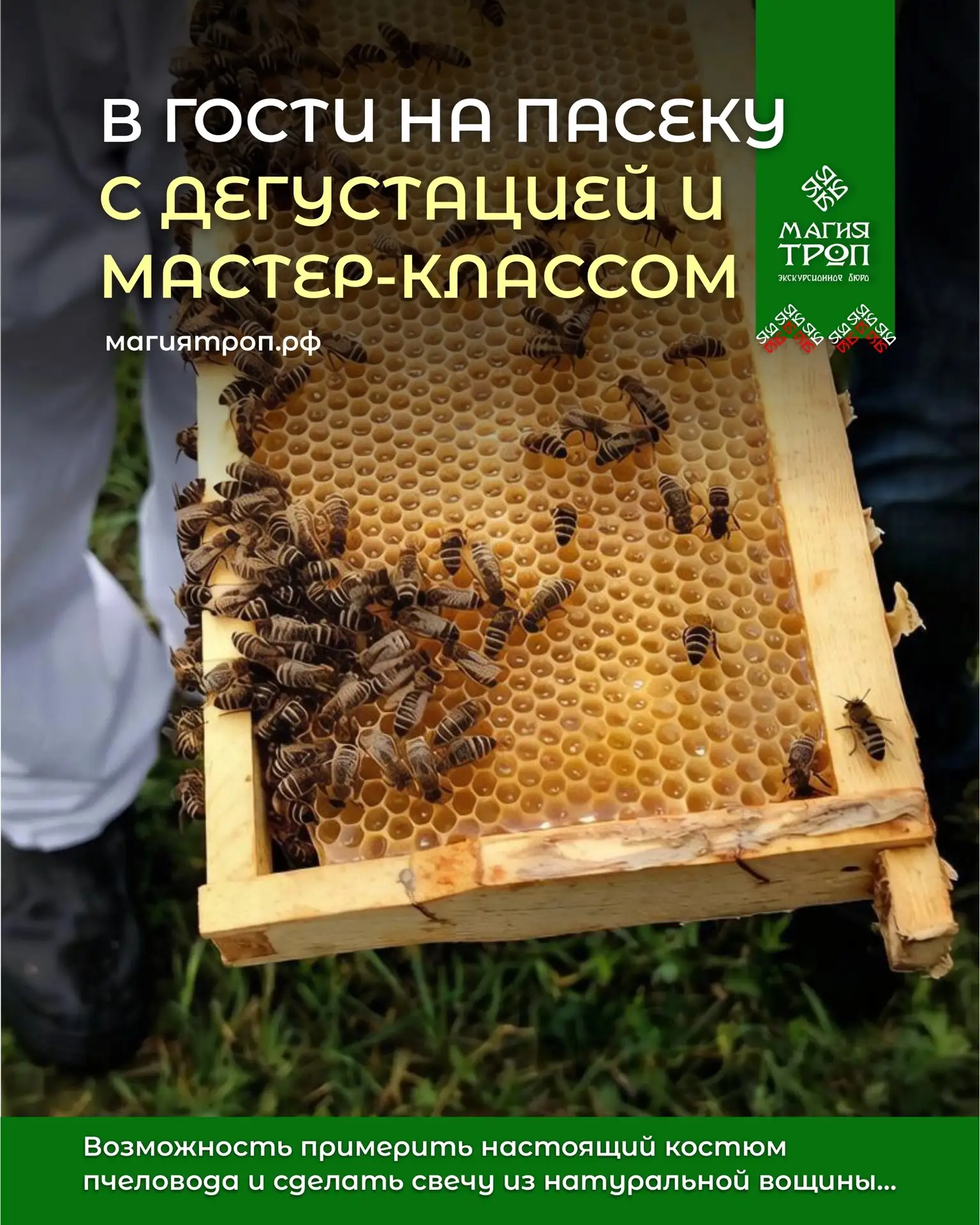 Любишь мёд так же, как мы горы? Тогда 28 июня тебе обязательно нужно поехать в Друганово.

Это возмо